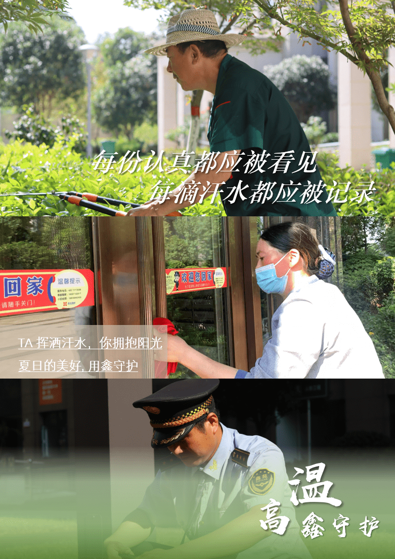 这一年，我们这样走过……